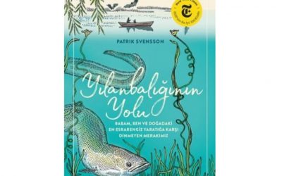 Kitap Çevirisi Örneği: Yılanbalığının Yolu